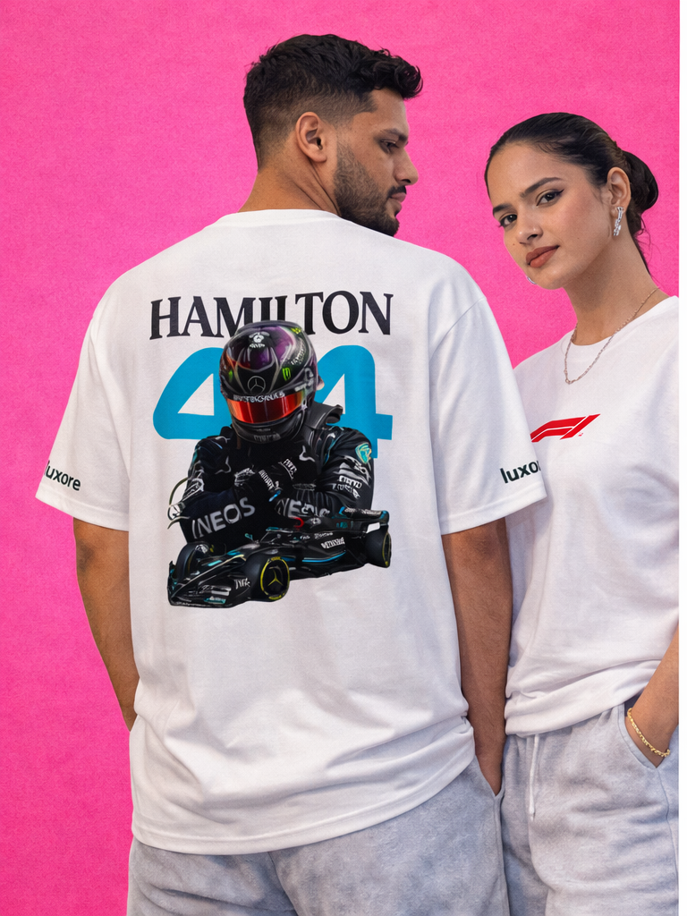 F1 Lewis Hamilton 44
