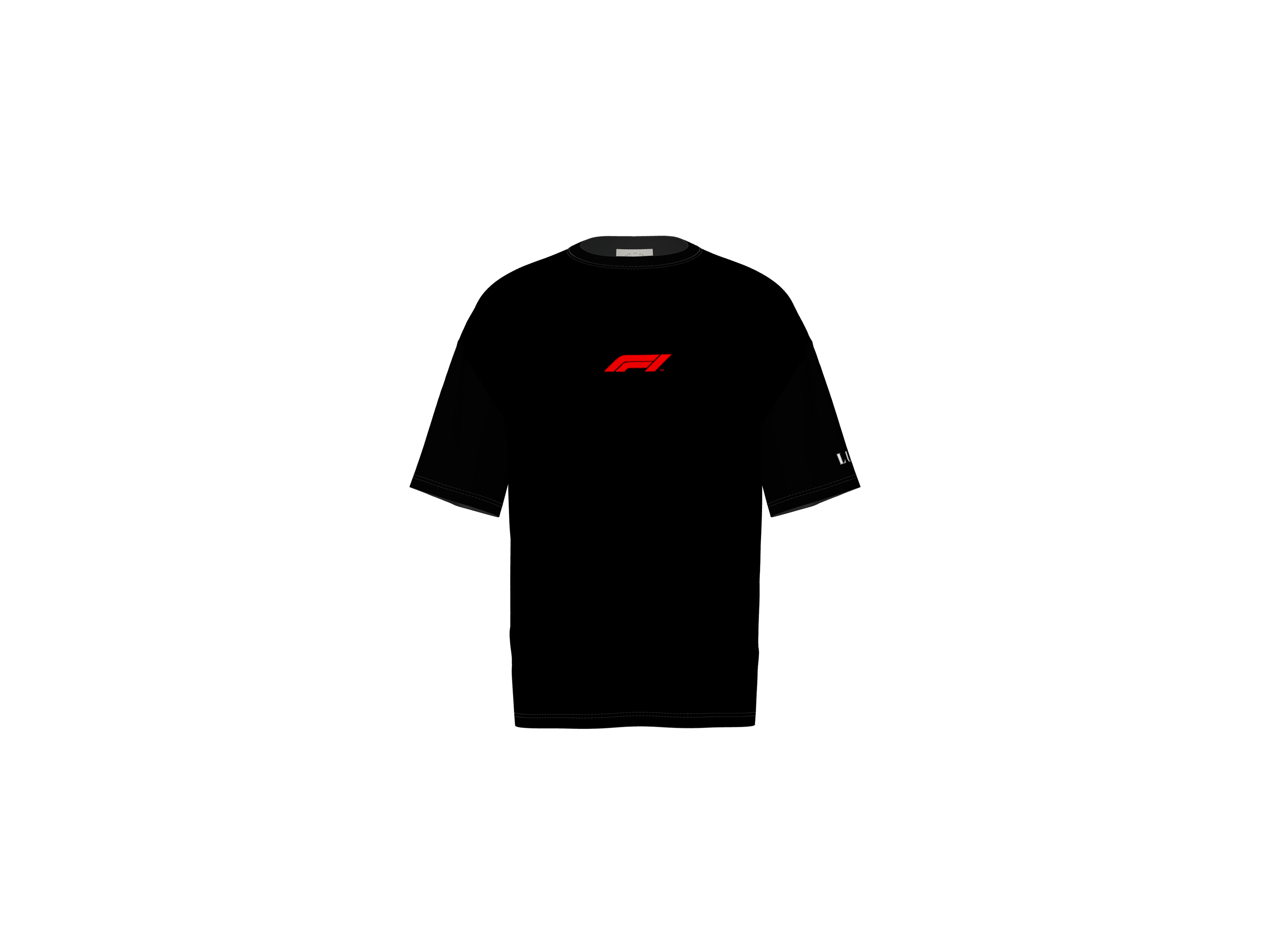 F1 Lewis Hamilton 44