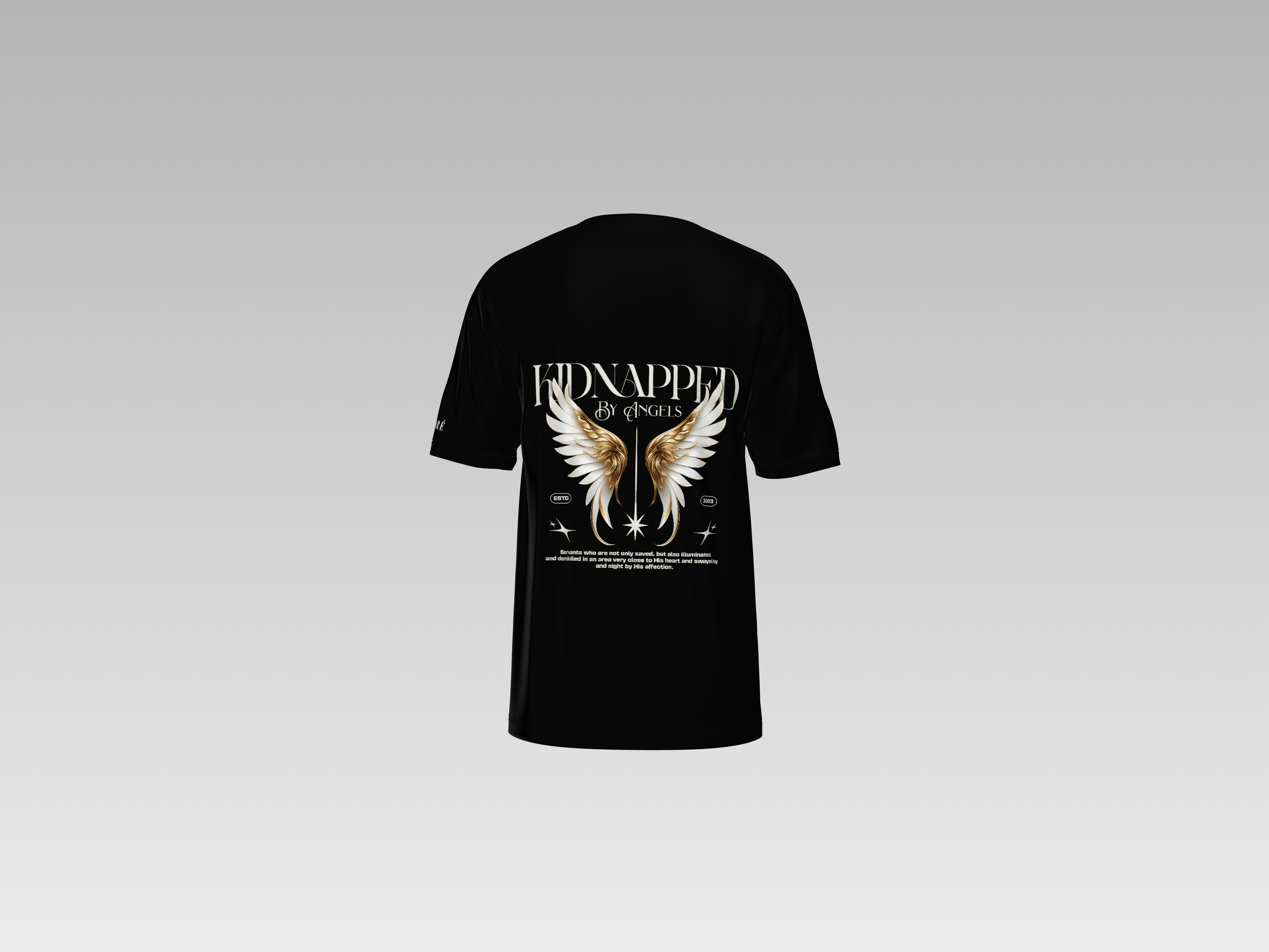 KIDNAPPED BY ANGELS PRINTED T-SHIRT