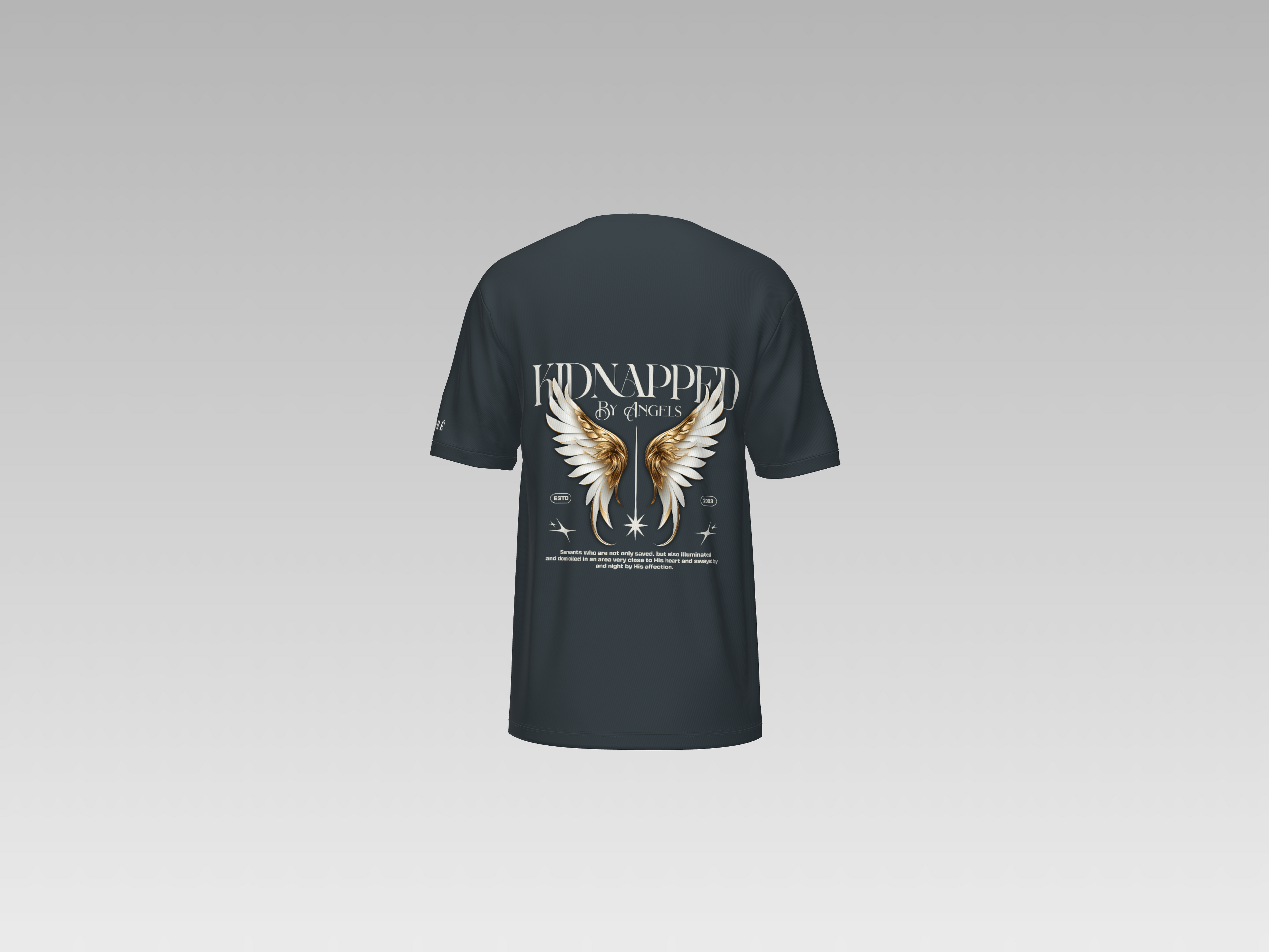 KIDNAPPED BY ANGELS PRINTED T-SHIRT