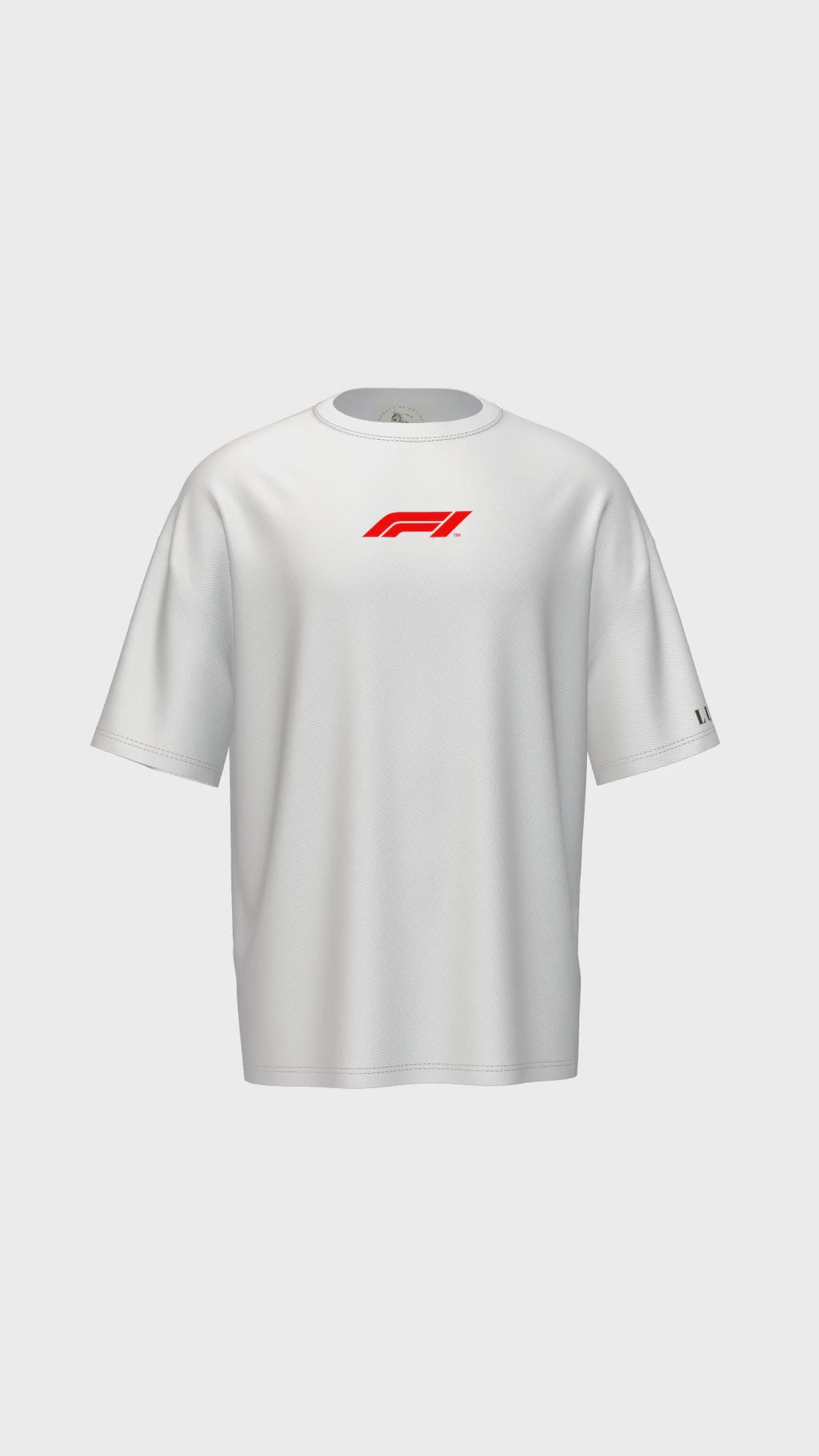 F1 Lewis Hamilton 44
