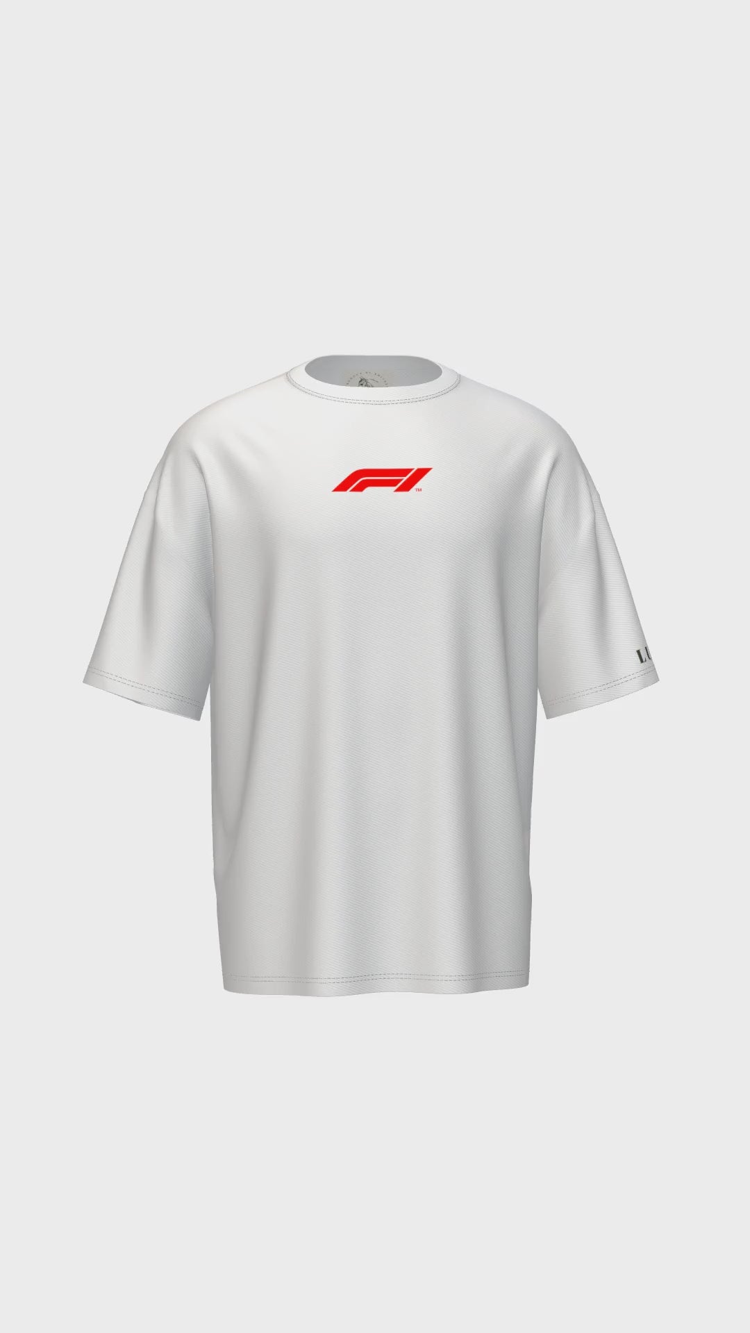 F1 Lewis Hamilton 44