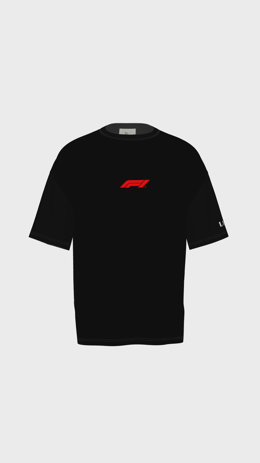 Champion Lewis Hamilton